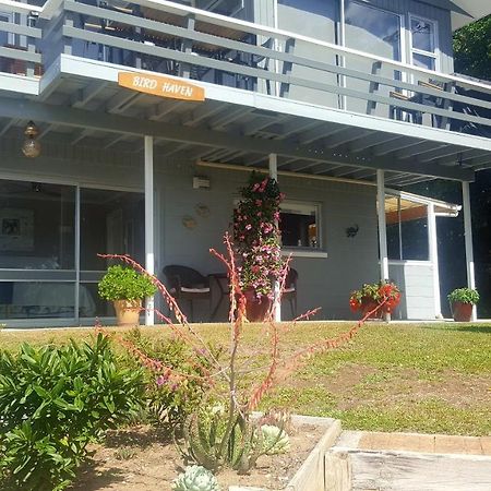 Bed and Breakfast Bird Haven Coromandel Exterior foto