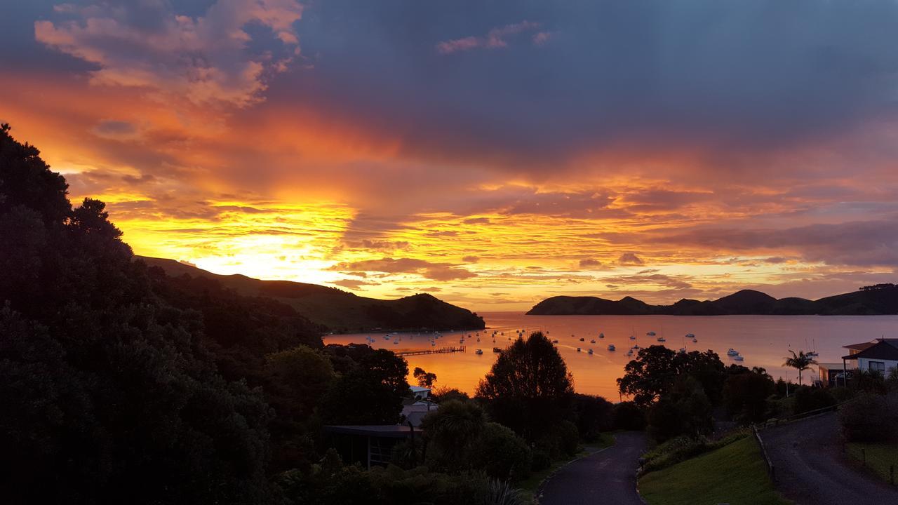 Bed and Breakfast Bird Haven Coromandel Exterior foto